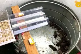 单向三车道高速公路 祝你飞速到达目的地视频封面