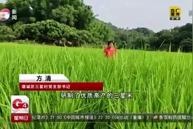 广州增城区：春耕全流程机械化，减少人力避免聚集视频封面