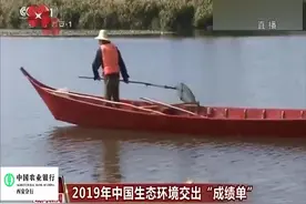2019中国生态环境交出“成绩单”视频封面