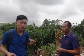 生哥帮助农民找销路操悴了心，这次又带旅游团负责人和农民对接视频封面