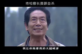 《大法官》腐败大案震惊省委  市委书记、市检察长、县长难逃法网视频封面