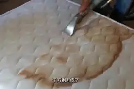 不勤洗床单被罩有多可怕？显微镜下细菌陪你睡，看完想立马换视频封面