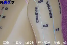 臑会：肩胛肿痛，肩臂痛，肩周炎，耳鸣，耳聋，中耳炎，牙关紧闭视频封面
