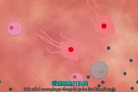 动画科普：生病时的“痛苦感”从哪里来？