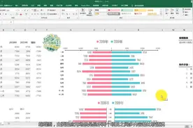 Excel图表-蝴蝶图，适用于项目对比（带字幕）