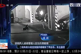 二哈不仅会拆家，还会拆车！二哈车库大战流浪猫并顺嘴拆了两台车视频封面