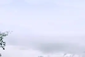 如何填写居民健康信息视频封面