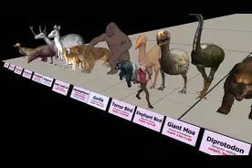 史前动物大小比较！