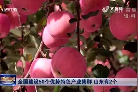 全国批建50个农业优势特色产业集群公布，山东两个产业集群上榜视频封面