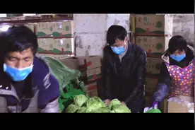云南蔬菜人：都是自家兄弟，再困难也得帮！视频封面