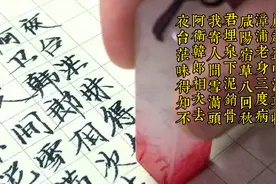 书法爱好者，一首唐代诗人白居易的诗词楷书作品，写作者内心荒凉视频封面