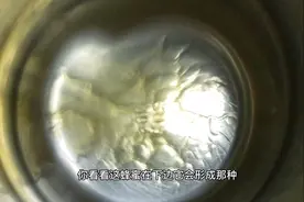 蜂蜜加到水里摇晃出现蜂窝状图案，石家庄蜂农演示，是真是假视频封面
