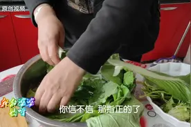 东北农民还能这么吃？生菜叶子抹大酱，北方人猛造，南方人尖叫视频封面