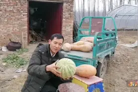 西瓜保存8个月还能吃吗？马上见证奇迹…视频封面