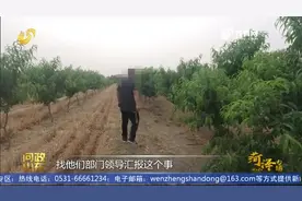 租用土地30年，菏泽大哥想建养殖场却遭拒，当地：只要动工就查你视频封面