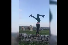 国外美女墙上练习倒立，看傻了远处的一群牛，太搞笑了视频封面