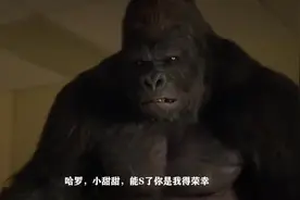 男子家意外闯入一只大猩猩，你看可爱吗？视频封面