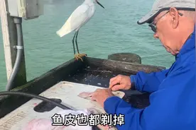 美国人不吃淡水鱼，即便是深海鱼他们吃的也如此精细，感觉真可惜视频封面
