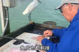 美国人不吃淡水鱼，即便是深海鱼他们吃的也如此精细，感觉真可惜视频封面