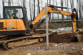 想要葡萄种植十年树势不衰！农村小伙告诉你该怎么种植视频封面
