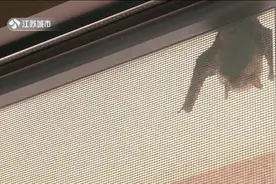 南京：家里来了蝙蝠怎么办？别怕 先驱赶后消毒！|零距离0323