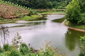 30亩的鱼塘，7万块钱承包10年，值得吗？视频封面