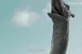 四川猎塔湖发现水怪，疑似消失千年的克柔龙视频封面