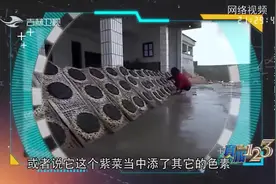 真相123：市场上扯不断的紫菜是否对人体有害？来看看专家咋说吧视频封面