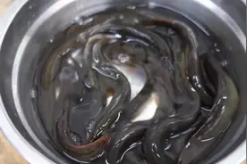 厨师长教你：“泥鳅豆腐汤”的家常做法，汤鲜味美，非常滋补！视频封面
