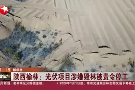 “几十年的林，全给我们砍了”！陕西一光伏项目被爆涉嫌毁林视频封面