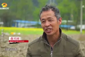 故事湖南：村民种植烤烟负债累累，张文雄部长的到来让他重拾希望视频封面