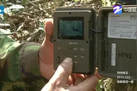 野生动植物保护：浙江省自然保护区数量达到27个，国家级的11个！视频封面
