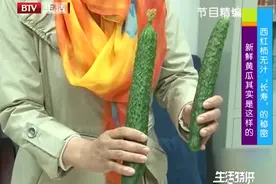 顶鲜花的黄瓜都打了激素，是真相还是谣言？今天总算明白了视频封面