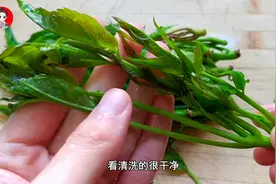 香椿千万别用清水洗，教正确洗法，水中多加这2样，脏东西全跑光视频封面