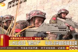 最帅兵哥哥!山地区域攻击“暴恐分子”,特战队员突破防线精准击毙视频封面