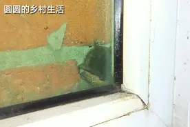 都知道蝙蝠是病毒的宿主，家里却飞来一只，怎么样才能赶走？