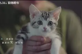 《宠爱》同名主题曲MV！钟汉良、陈伟霆、吴磊、郭麒麟等众星献唱