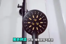 智洁康的这个花洒，诠释了小体积大作用，主打性价比用过真挺香