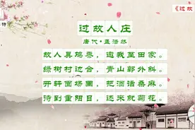 每日读诗孟浩然诗集二十首视频封面