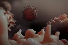 动画演示新型冠状病毒如何侵犯人体