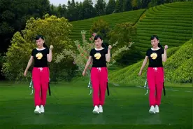 精选DJ广场舞《女人不容易》句句走心，唱出女人的心声视频封面