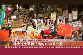 澳大利亚林火肆虐数月不灭，高温天气还有持续多久,林火何时能灭?视频封面