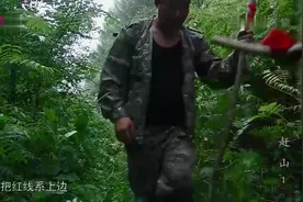 长白山老把头上山采挖野山参，他们能否如愿以偿1视频封面