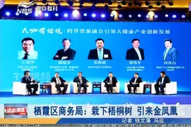 南京：栖霞区商务局招商引资：栽下梧桐树，引来金凤凰视频封面