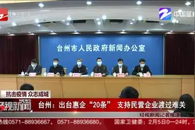台州：出台惠企“20条” 支持民营企业渡过难关视频封面