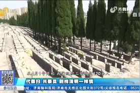济南玉函山公墓清明暂停祭扫，代祭扫、共祭奠，代替亲属寄托哀思视频封面