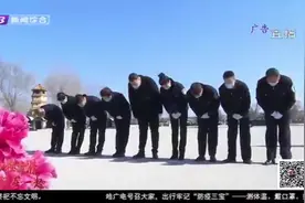 哈尔滨暂停扫墓活动，和平公墓推出“代祭”服务，为家属传达哀思视频封面