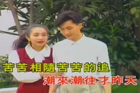 梅艳芳一首《只羡鸳鸯不羡仙》听醉了，经典难忘的声音，好怀念！视频封面