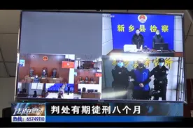 速裁快审！诈骗8000元获刑八个月视频封面