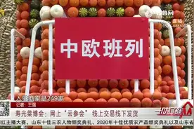 “云”游寿光蔬菜博览会会，线上交易线下发货，超多亮点全在这里视频封面
